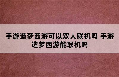 手游造梦西游可以双人联机吗 手游造梦西游能联机吗